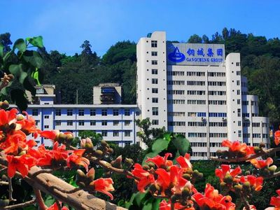 攀枝花钢城集团瑞丰水泥有限公司3200t/d水泥线项目