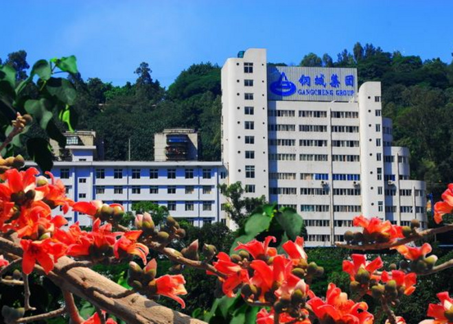 攀枝花钢城集团瑞丰水泥有限公司3200t/d水泥线项目