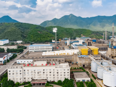 深圳市中金岭南有色金属股份有限公司丹霞冶炼厂