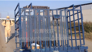 智能称重分群系统（YH-EQ002）