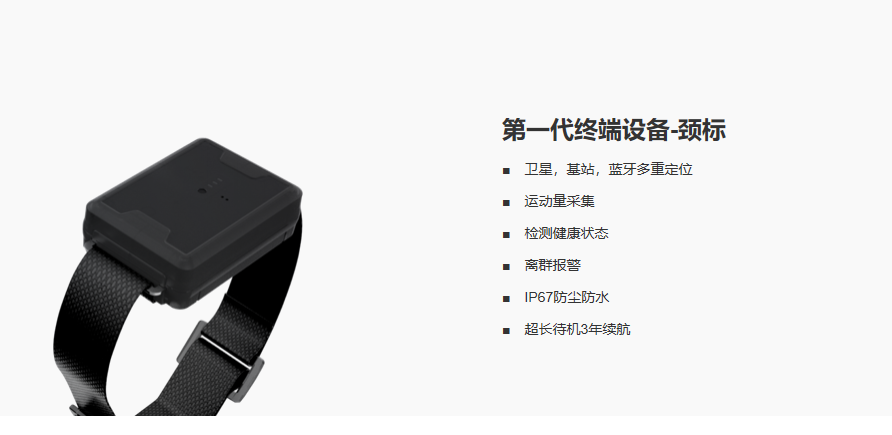 牛项圈（GPS定位、活动量）