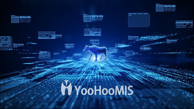 【解决方案】——为生产赋能，云辉牧联YooHooMIS智能磅房管理系统推进智慧农业发展