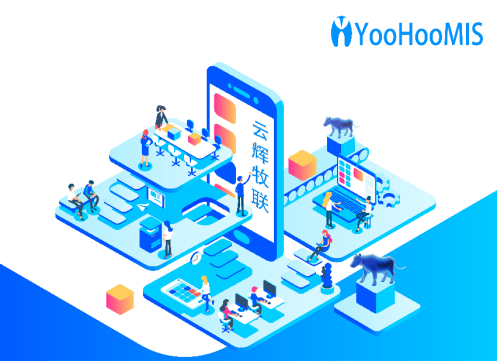 云辉牧联——科技赋能养牛产业，真的“牛”！