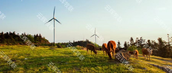 数智赋能，绿色前行，云辉牧联开启科技生态养殖新篇章