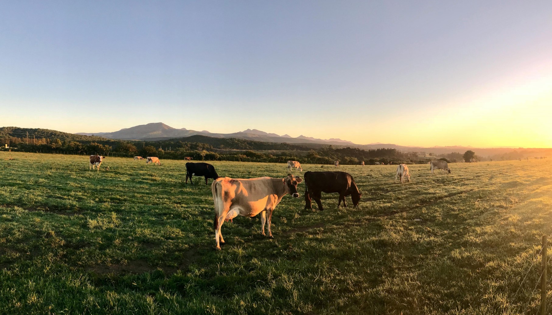 智慧养殖管理云平台