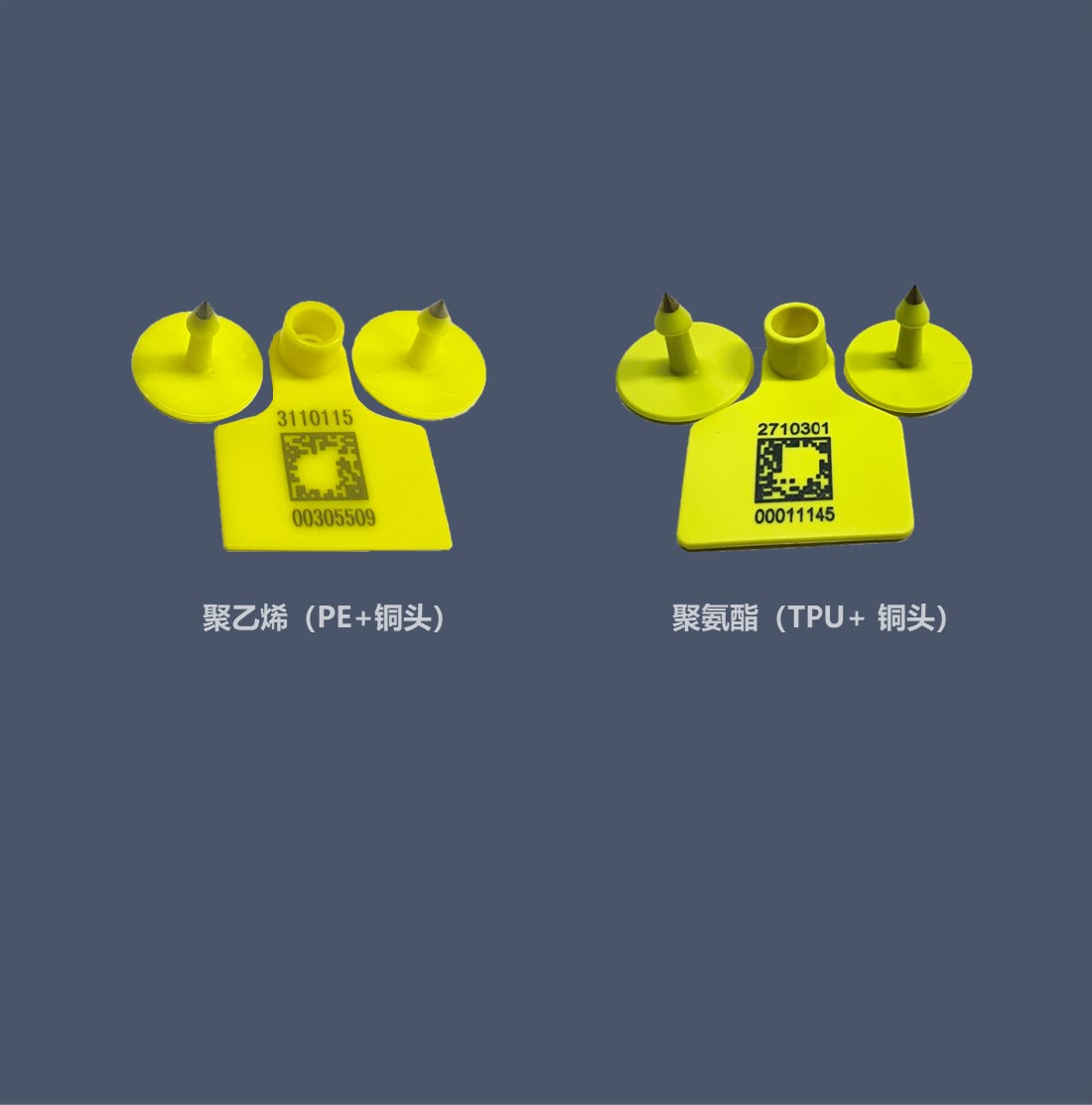 牛免疫耳标-内页图