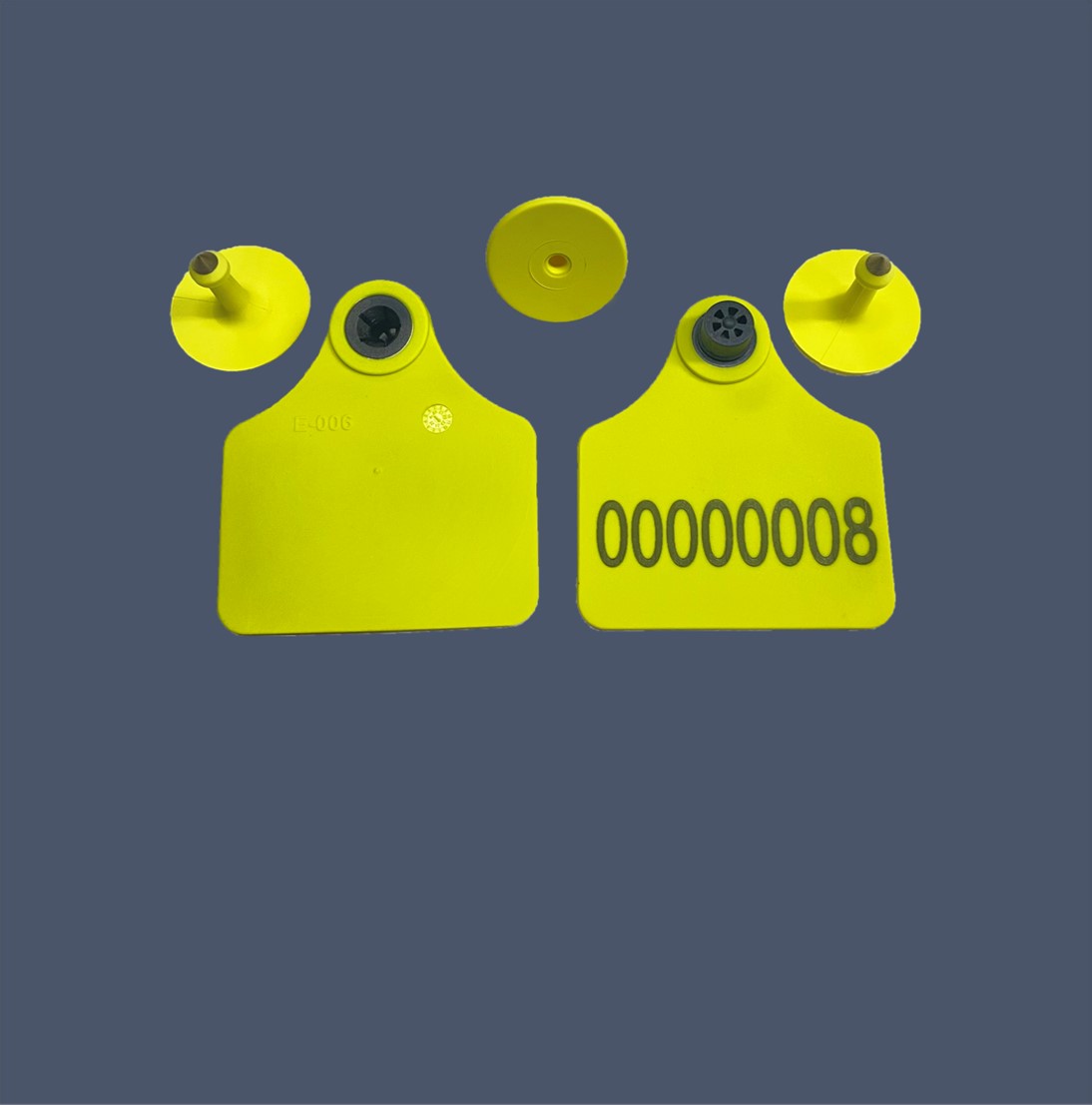 牛用超高频电子耳标-内页图