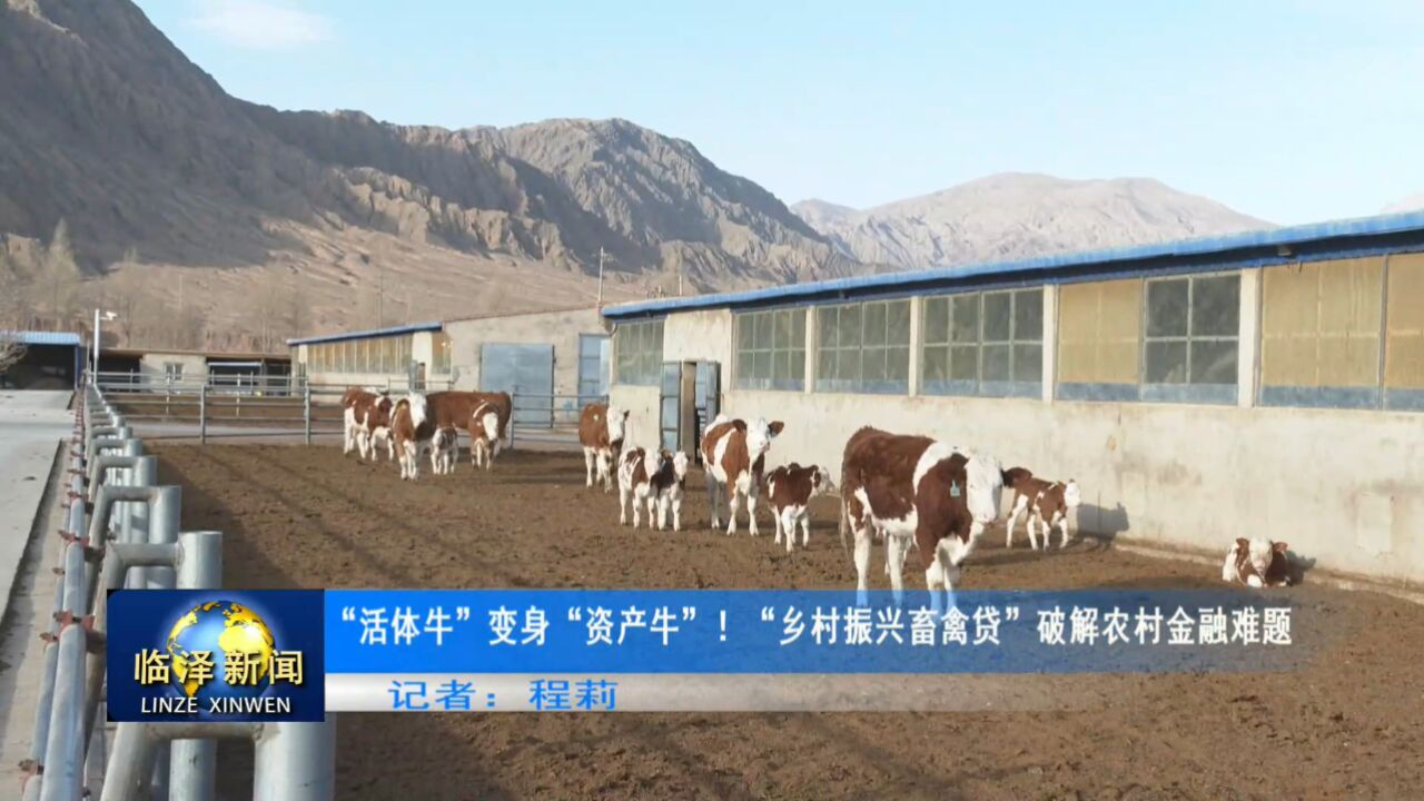 养牛不再愁 “钱景”：云辉牧联让肉牛产业信贷服务触手可及