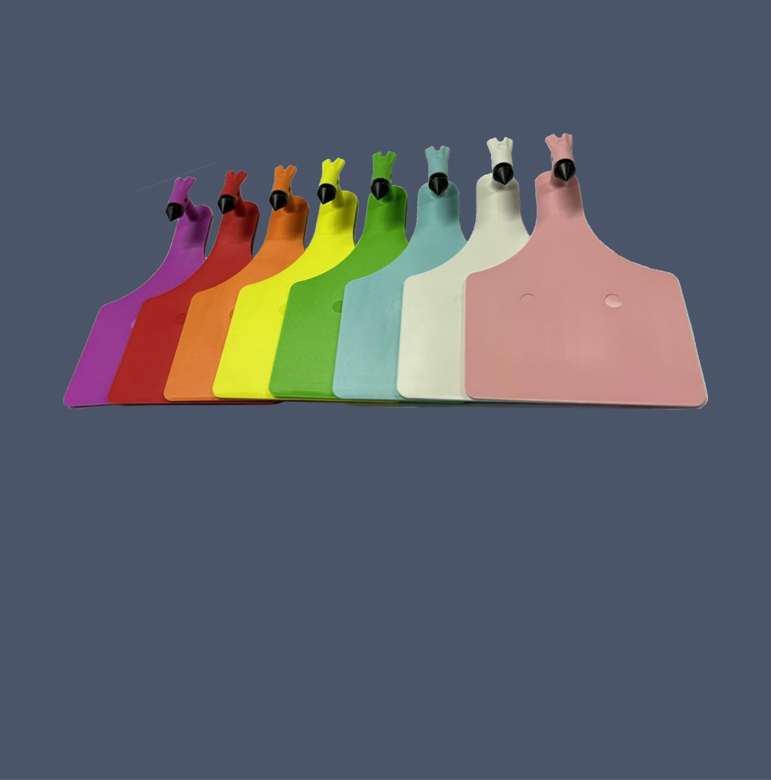 一体式耳标-内页