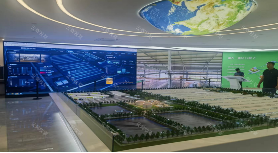 数智链动 牛业新篇——云辉牧联赋能肉牛全产业链价值升级