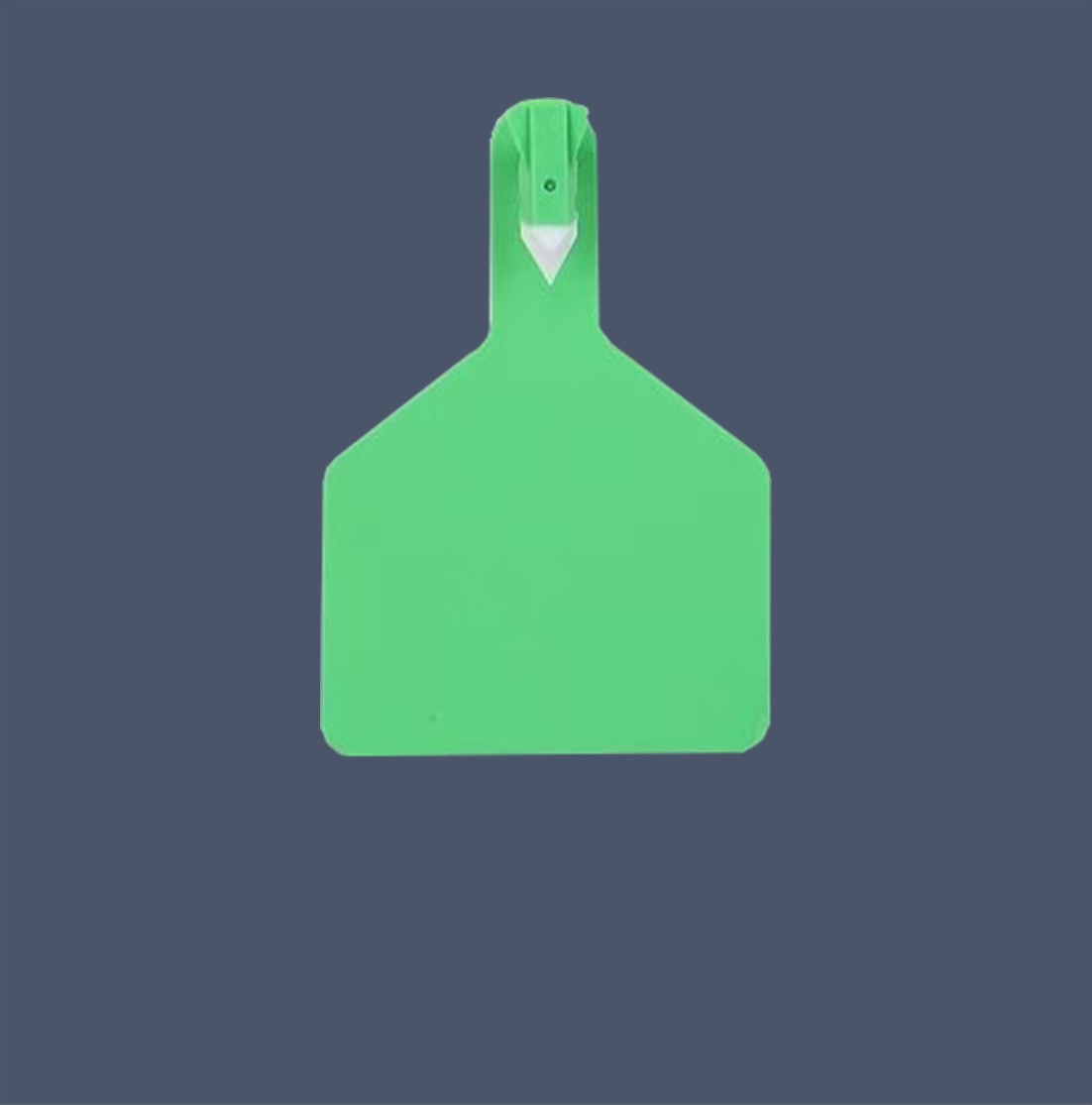 YH-TF8616-YH一体式电子耳标2-内页